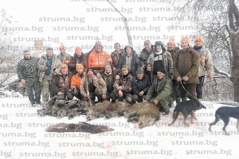 Ловци от Санданско удариха добра слука, но сега ще изхвърлят половин тон месо, защото...