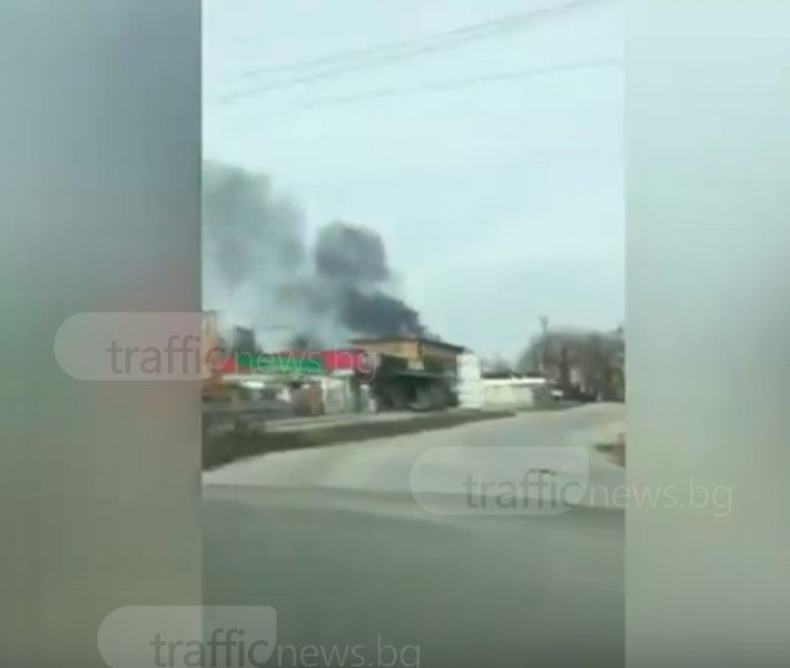 Пловдивчани пак пропищяха заради циганите, този път... (ВИДЕО)
