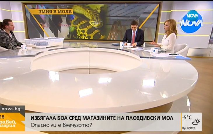 Внесоха змия в студиото на "Здравей, България", Аделина Радева в шок! (СНИМКИ)