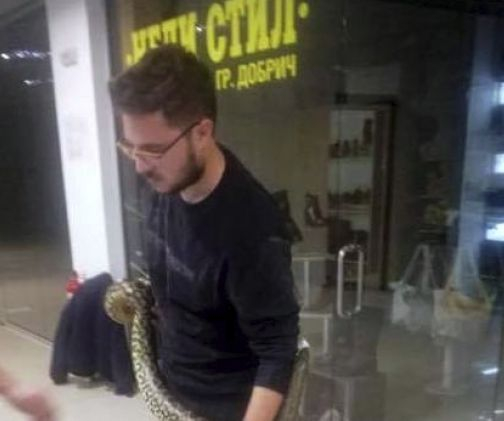 Собственикът на змията, която изправи на нокти пловдивчани, го загази здраво