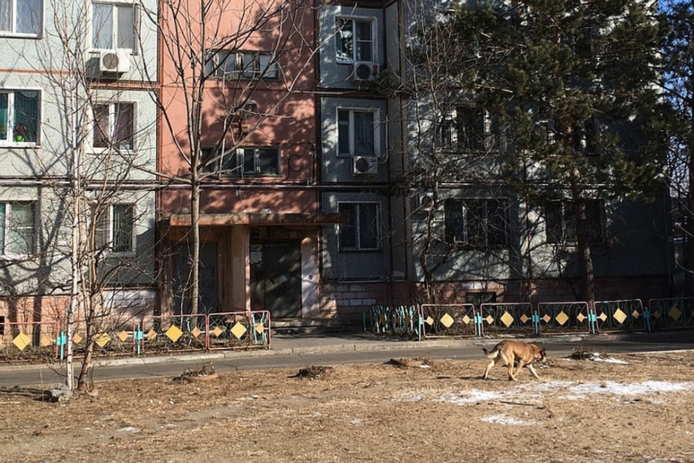 Баба канибал уби и накълца на парченца трупа на квартиранта си, а после... 