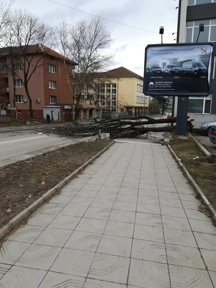 Само в БЛИЦ! На косъм от трагедия с трупове заради силния вятър в Монтана
