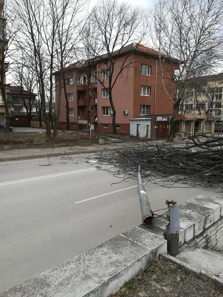 Само в БЛИЦ! На косъм от трагедия с трупове заради силния вятър в Монтана