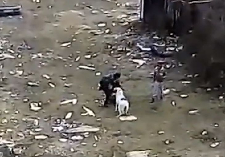 Брутални кадри с деца и насилие смразиха Ади Радева и Николаев (ВИДЕО 18+)