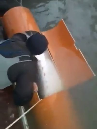 Нови ВИДЕА за страшното 200-килограмово чудовище, извадено от Дунав край Айдемир (СНИМКИ)