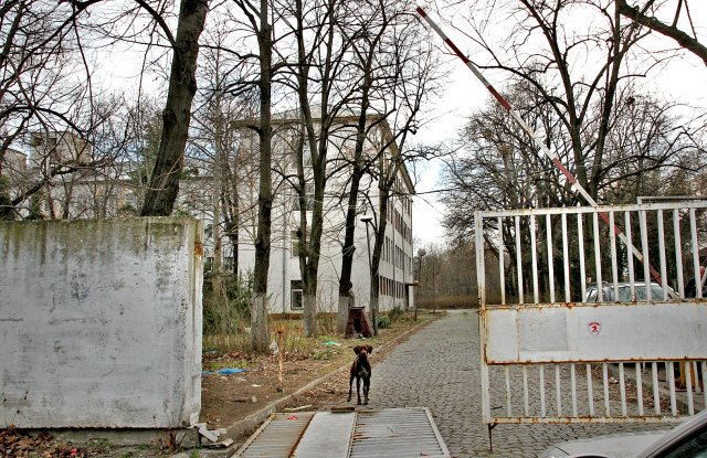 Кметуването на Тотев в Пловдив - пълна разруха и фалити на общинските болници!