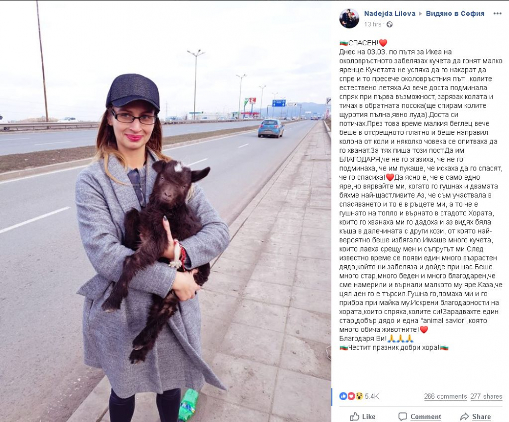 Само в БЛИЦ! Случка от Околовръстното на София разтърси цялата мрежа (СНИМКА)