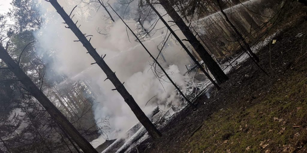 Уникално ВИДЕО от спасяването на пилота на  МиГ-29, който се разби в Полша (СНИМКИ)