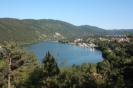 Първо в БЛИЦ! Смразяваща кръвта случка край Панчаревското езеро