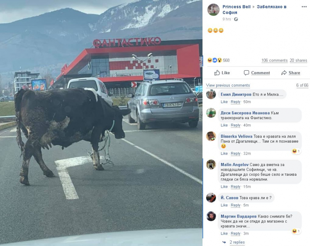 Само в БЛИЦ! Столичани гледат и не вярват на очите си какво се появи на този паркинг (СНИМКИ)