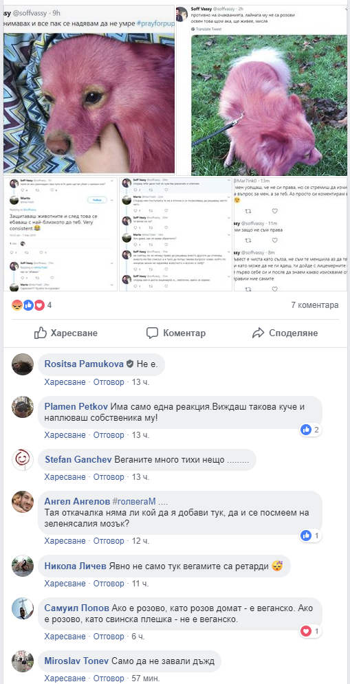 Само в БЛИЦ! Шок в БГ нета: Млада веганка публикува СНИМКИ на кучето си и всички я оплюха