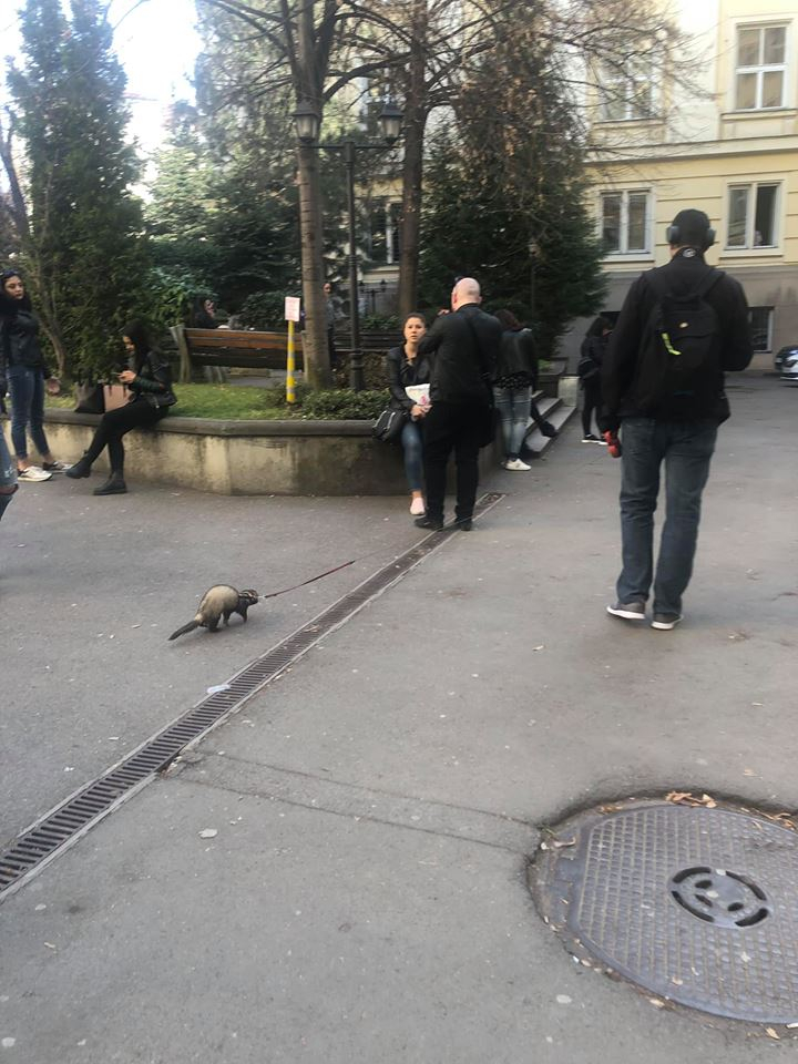 Само в БЛИЦ! Цялата мрежа се чуди какви изпити е положил най-новият студент в Софийския университет (СНИМКИ)