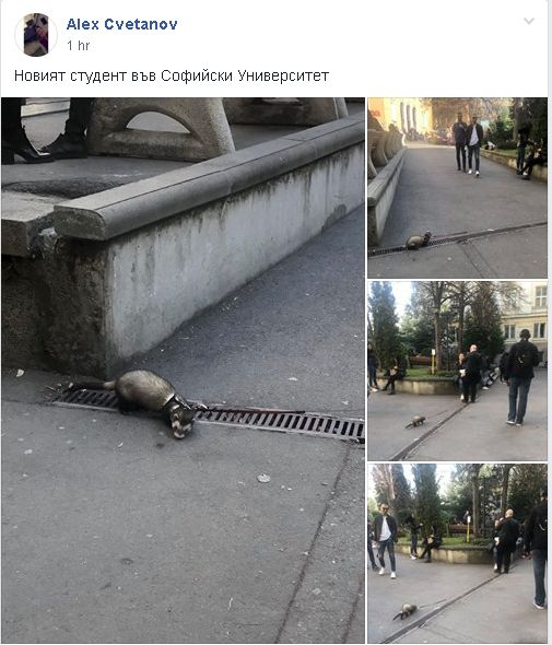 Само в БЛИЦ! Цялата мрежа се чуди какви изпити е положил най-новият студент в Софийския университет (СНИМКИ)