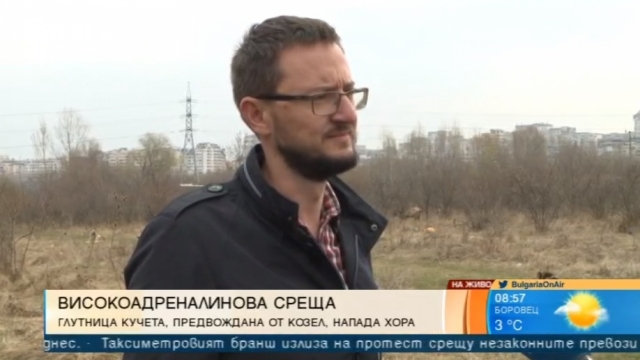 Свиреп козел, предвождащ глутница кучета, нападнаха софиянец във "Въртопо" до циганския катун 