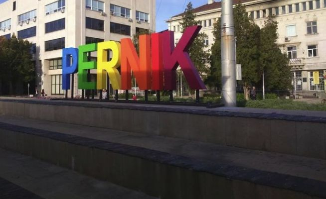 Цял Перник говори за това добиче, което броди из града (СНИМКИ)