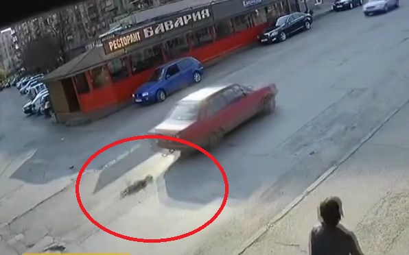 Монтана настръхна заради тази брутална жестокост (ВИДЕО)