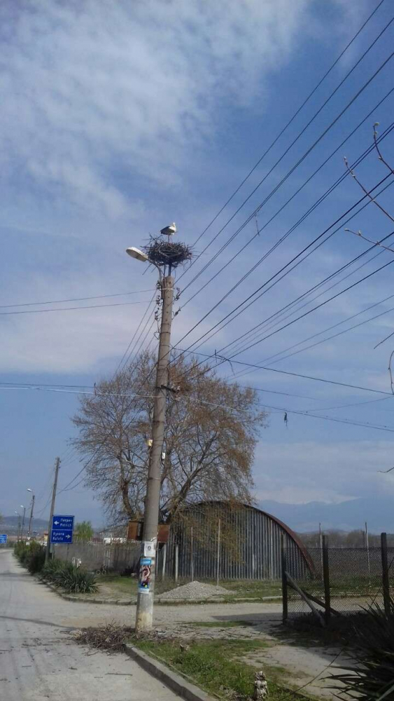 Грозна вандалщина потресе жителите на петричко село 