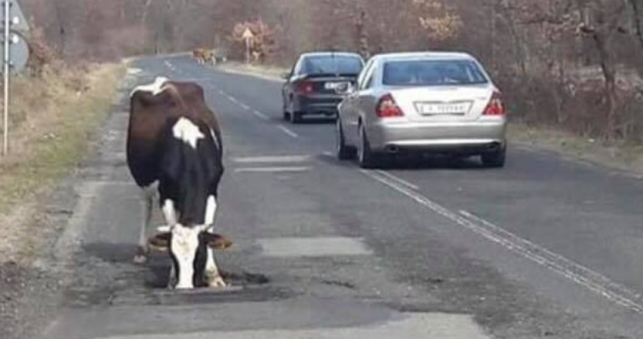 Днес в Гърмен ще бъде горещо