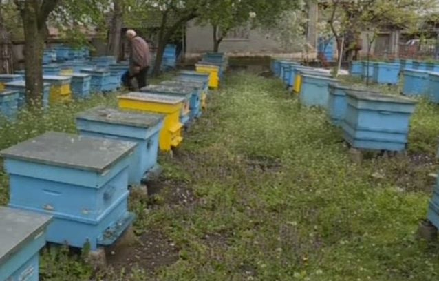 Трагедия! Масово измиране след натравяне в Исперих 