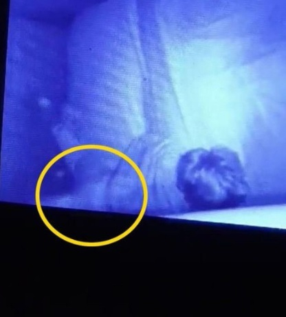 Бяла ръка докосва спящо дете, майка му онемя от ужас! ВИДЕО 18+