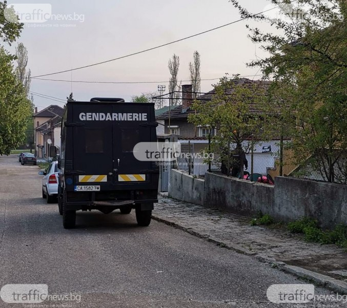 Ето какво позволява на ало мафията да се възпроизвежда