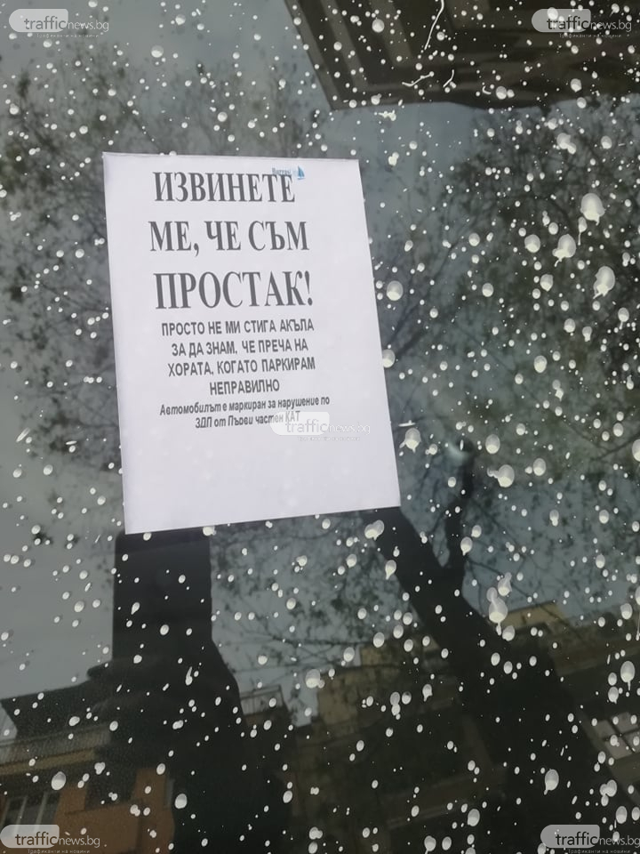 Пловдивчанин паркира като цар и си получи заслуженото (СНИМКИ)