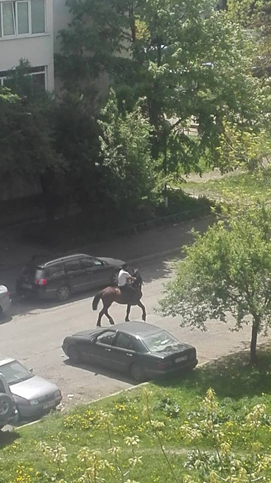 Голямото село: Мургав Винету препуска на кон в "Люлин" и сащиса мрежата (СНИМКИ)