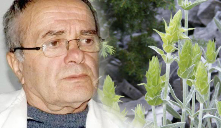 Д-р Анатоли Аликовски изброи чудесата на мурсалския чай