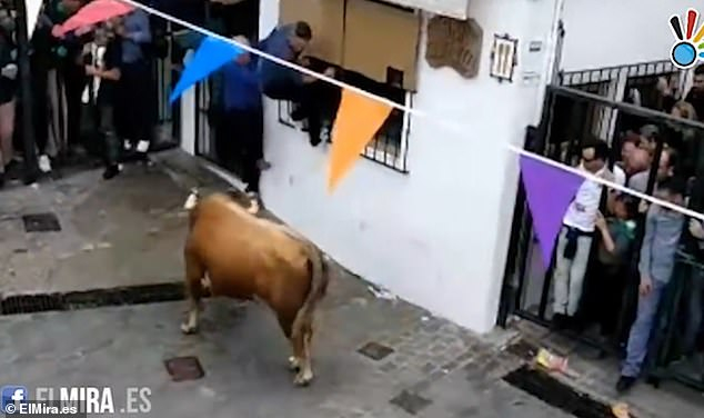Бик уби мъж на фестивал в Испания (СНИМКИ/ВИДЕО 18+)