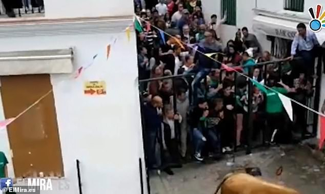 Бик уби мъж на фестивал в Испания (СНИМКИ/ВИДЕО 18+)