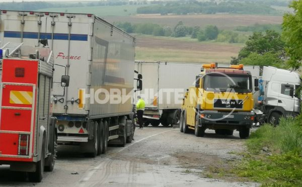 Първи СНИМКИ от касапницата с труп край Плевен (ВИДЕО)