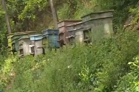 Ето къде откриха ловната пушка на свирепия убиец от Костенец (СНИМКИ)