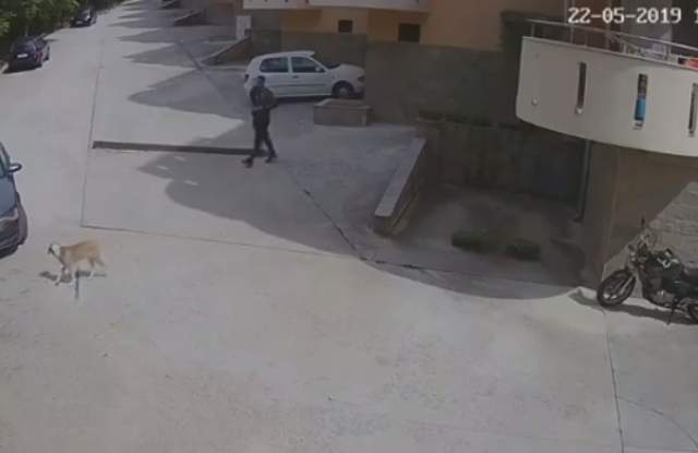 Брутално зверство потресе България (СНИМКИ/ВИДЕО 18+)