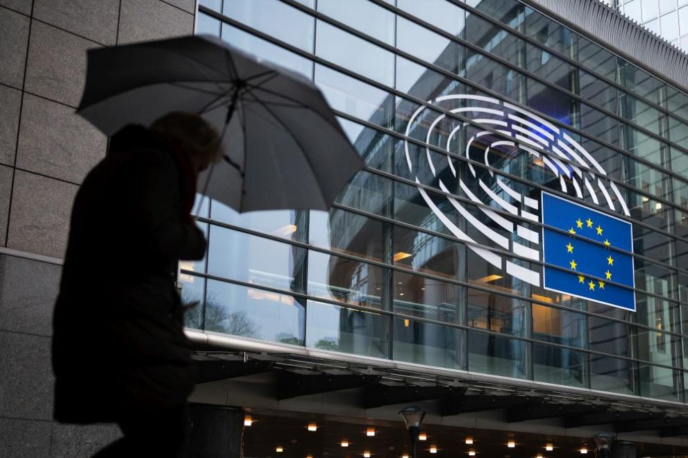 Кои са осемте политически семейства в Европарламента?