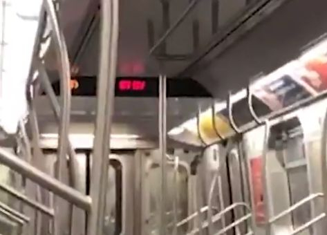 За първи път се появи такова животно в метрото в Ню Йорк (ВИДЕО)