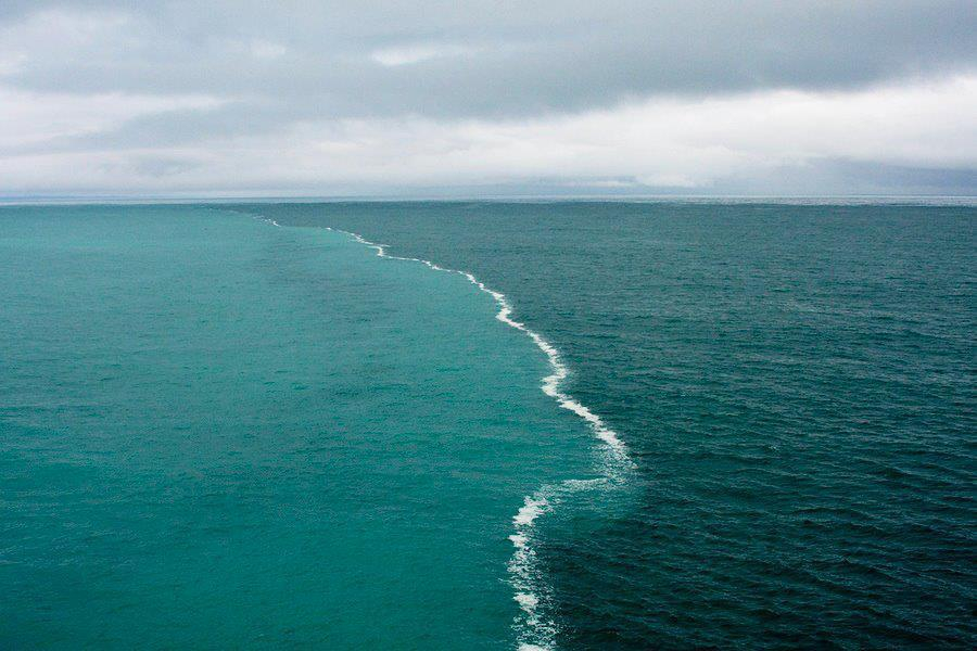 Сензация! Удивително откритие в Северно море преобръща човешката история (СНИМКА)