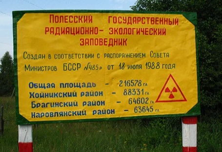 33 години след ужаса в Чернобил: Сомове-гиганти и всякакви други мутанти (ГАЛЕРИЯ)