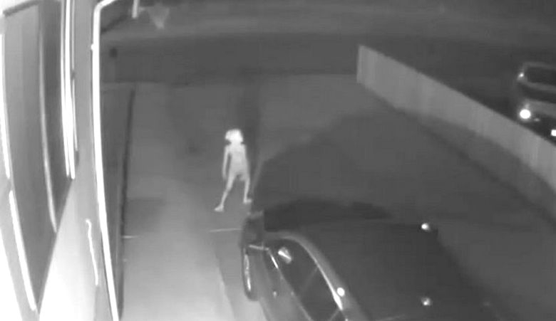 ВИДЕО с мистериозно същество пред колата на жена облещи мрежата