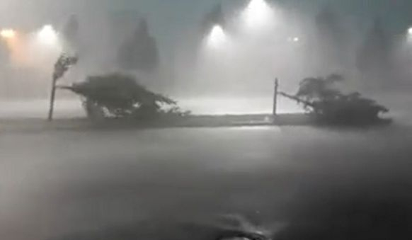 Това не е ВИДЕО от филм на ужасите, а реалност в Бавария 