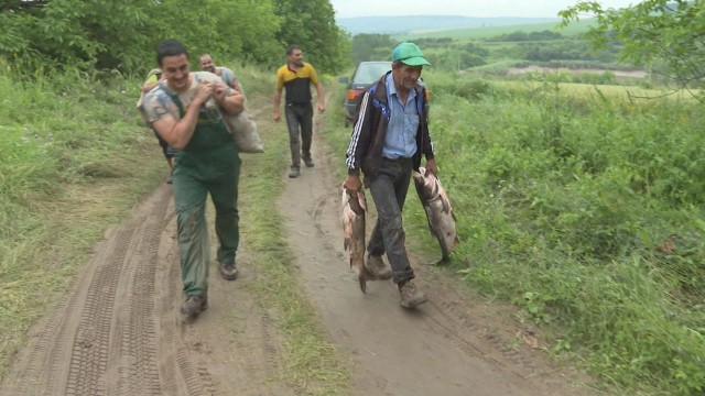 Тонове риба се изсипаха в нивите след скъсване на язовирна стена (ВИДЕО)