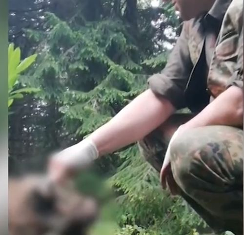 С един изстрел в сърцето убиха страховито животно в Рила (СНИМКИ/ВИДЕО)