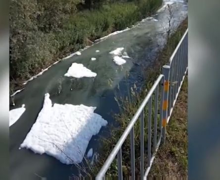 Не е за вярване какво се оказа гнусното нещо в река Струма в Перник (СНИМКИ/ВИДЕО)