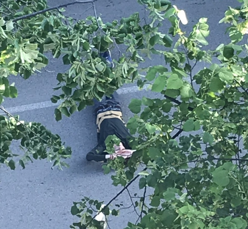 Падна първата жертва на жегите във Враца (СНИМКА)