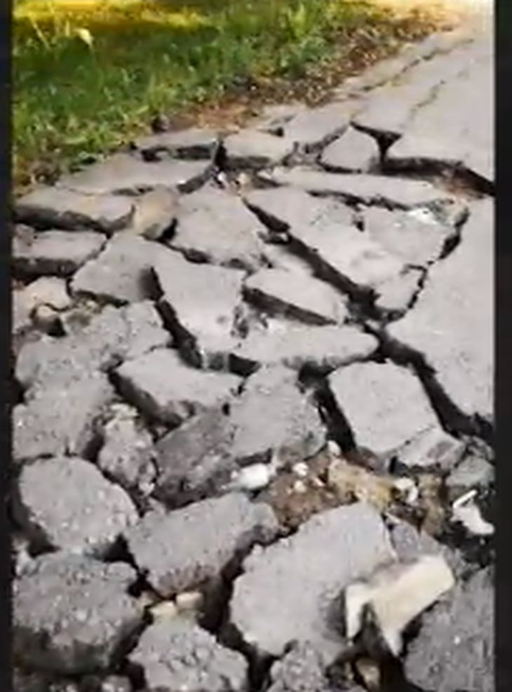 Невиждана циганска кражба шашна Ади Радева и Виктор Николаев (СНИМКА)