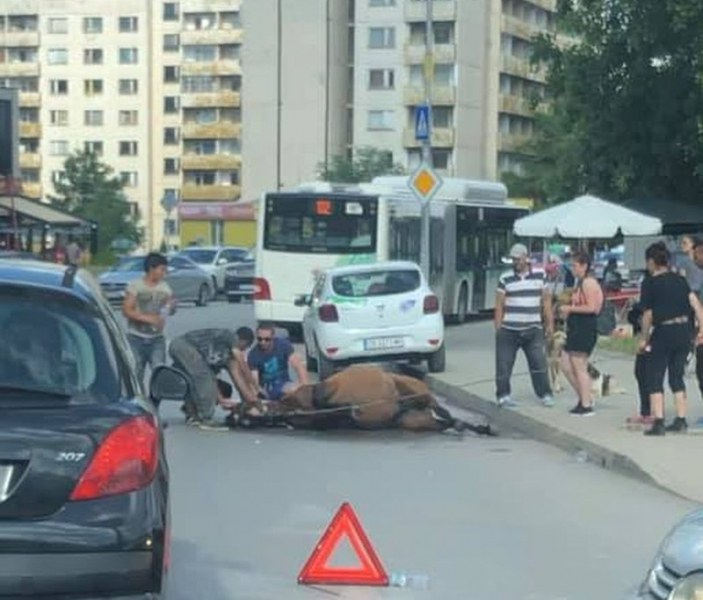 Мрежата се вбеси на тези цигани, наобиколили труп в Студентски град (СНИМКА)