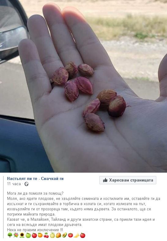 Странен апел: Когато сте на път, хвърляйте през прозореца на колата… 