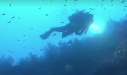 Учени ще прекарат в капсула на дъното на Средиземно море почти месец! (ВИДЕО)