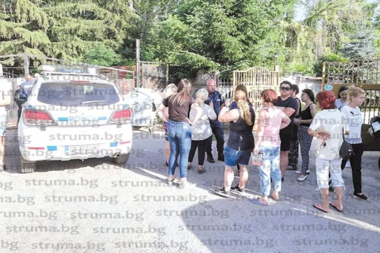 НПО-та щурмуват Дупница, за да спасят глутницата кучета, нападнали майка с дете 