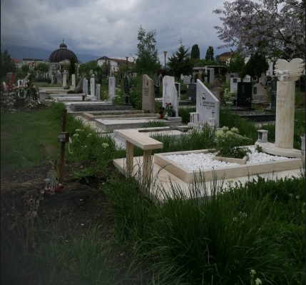 Страшен мор в цяла България от началото на годината