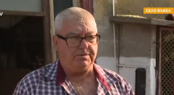 Стопанин проплака и обясни какво носи чумата по свинете